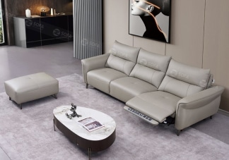 Sofa nhập khẩu thư giãn ZT231