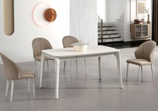 Bàn Ăn Nhập Khẩu TERA-255