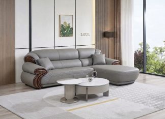 Sofa gỗ mun nhập khẩu ZS515